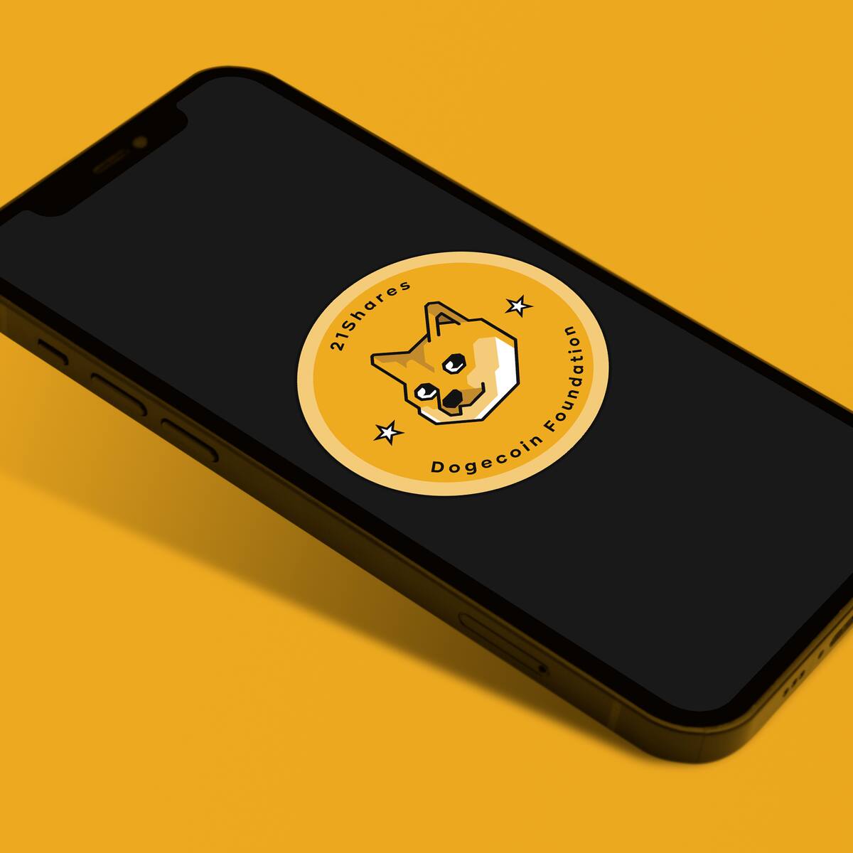 21Shares Dogecoin ETP | cash