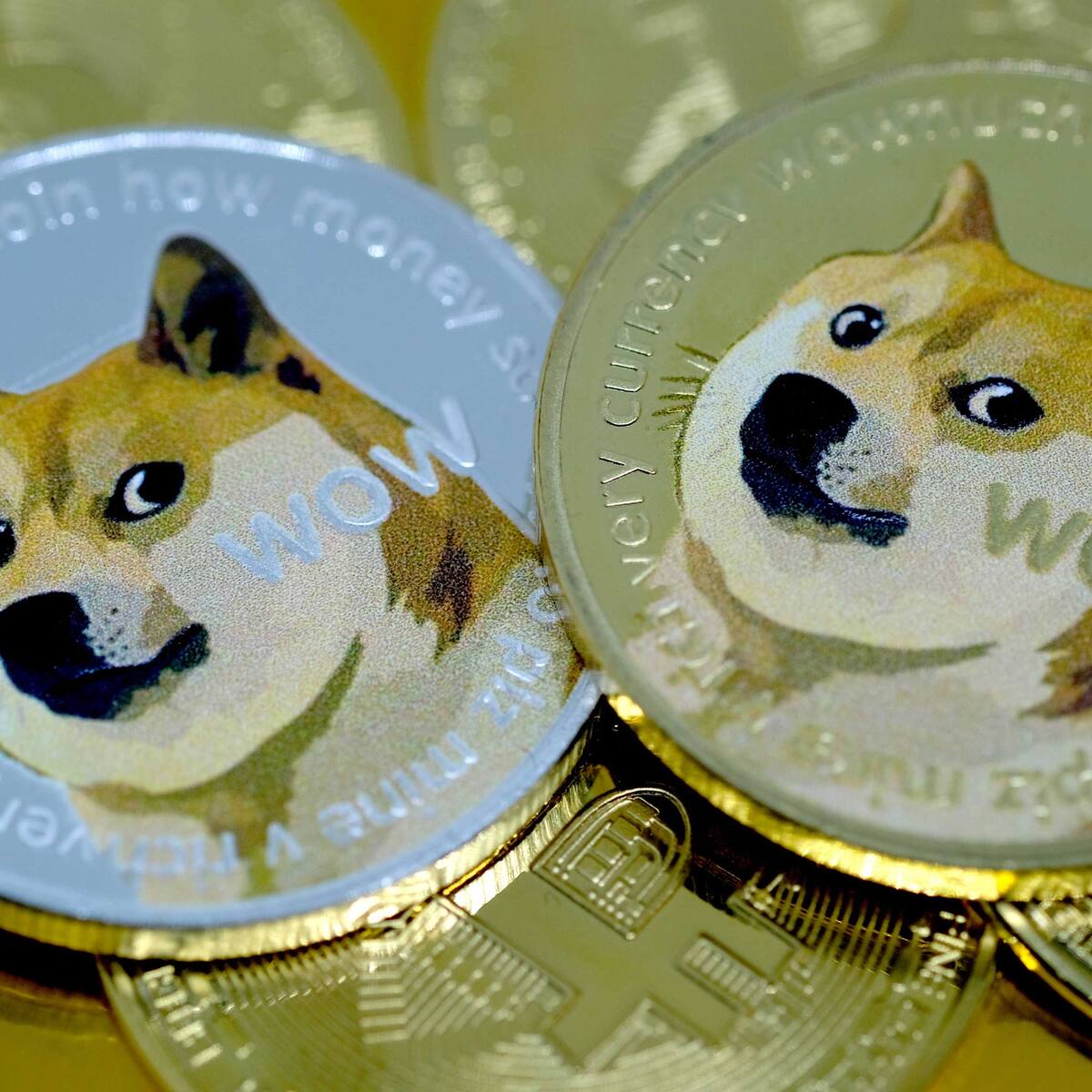 Dogefather» Elon Musk treibt im Twitter-Übernahme-Hype auch den Dogecoin- Kurs an | cash