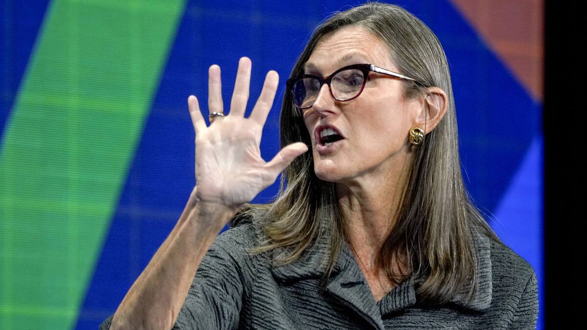 Cathie Wood: Nach den Verlusten folgt der Spott ihrer Wall-Street-Kollegen