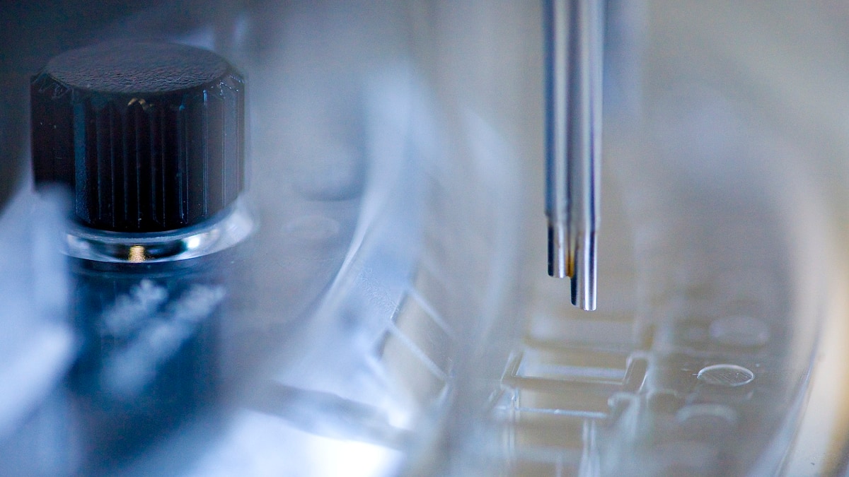 Analysten heben die Ratings und Kursziele bei Roche weiter an