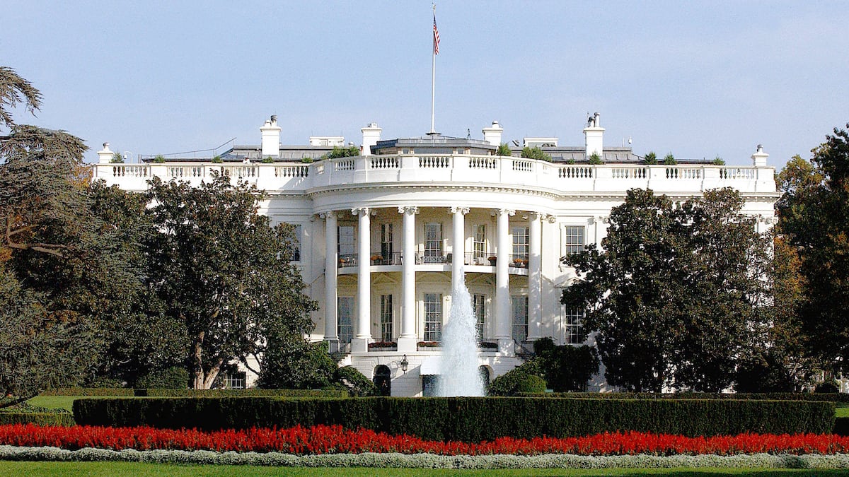 USA holen Microsoft und Google für KI-Initiative «Genesis Mission» an Bord