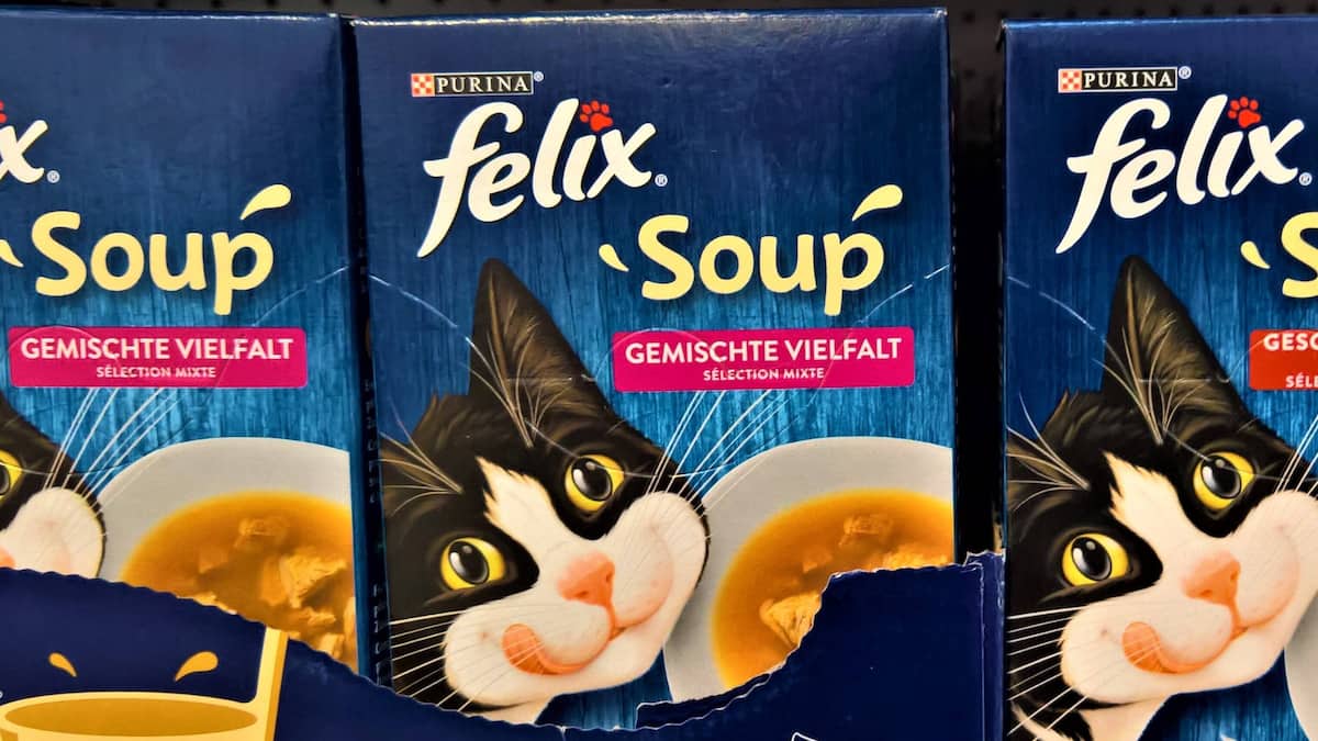 Nestlé to invest 157m francs in Thailand pet-food expansion