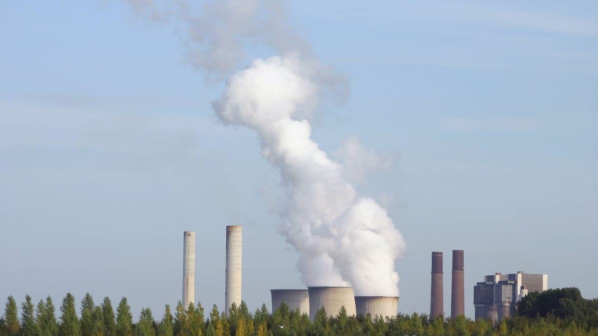 Quallenschwarm legt französisches Atomkraftwerk lahm