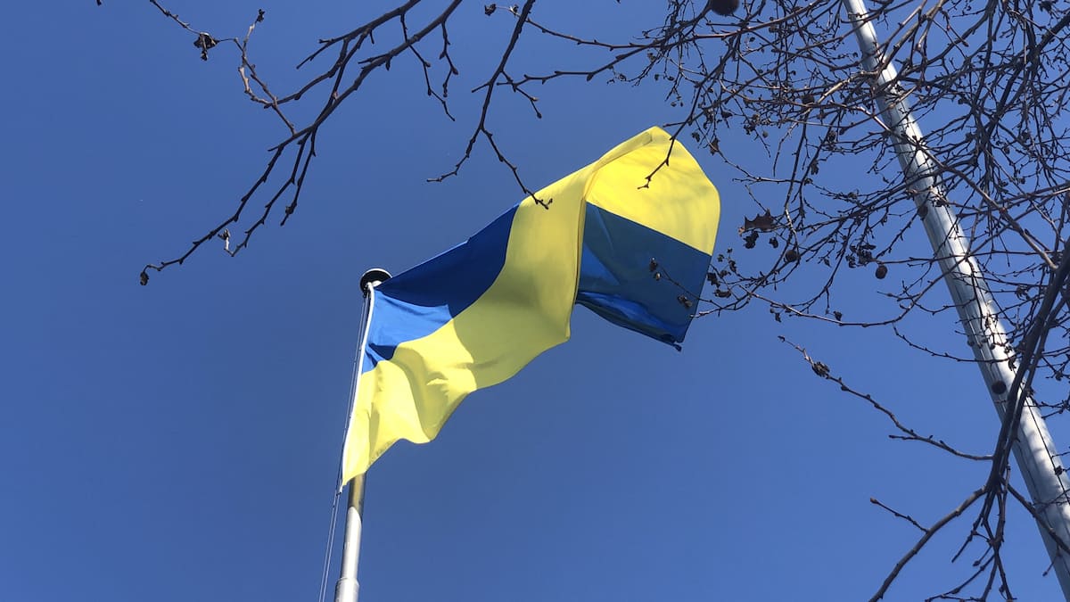 Ukrajinske devizne rezerve dosegle rekordno raven kljub vojni