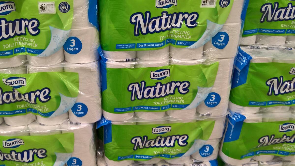 WC-Papierkrise 2.0 droht wegen Exportverbot von russischem Birkenholz