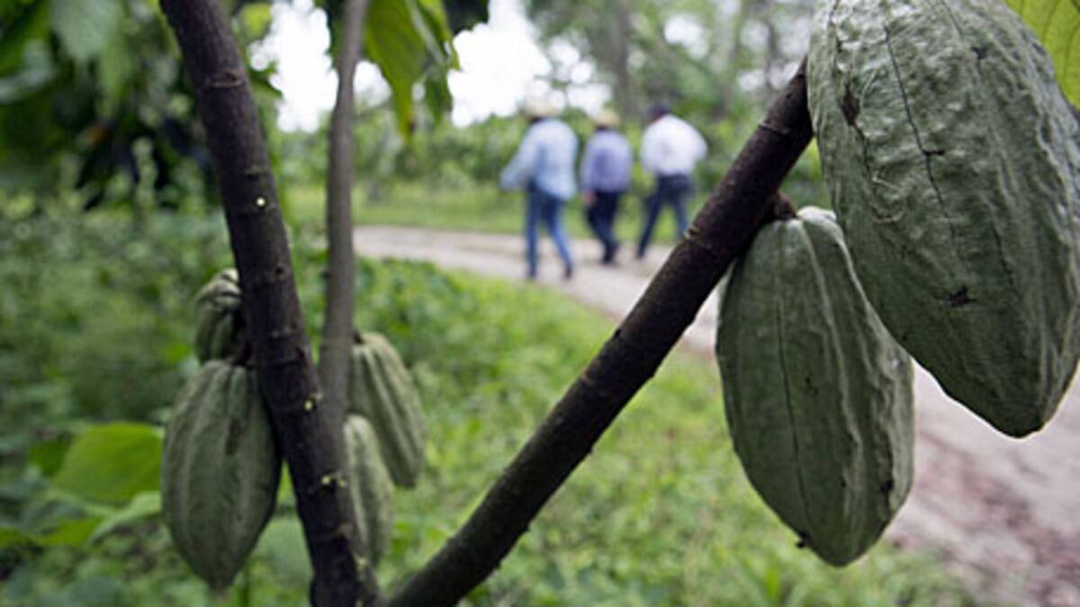 So gehts mit den Rohstoff-Preisen weiter | cash