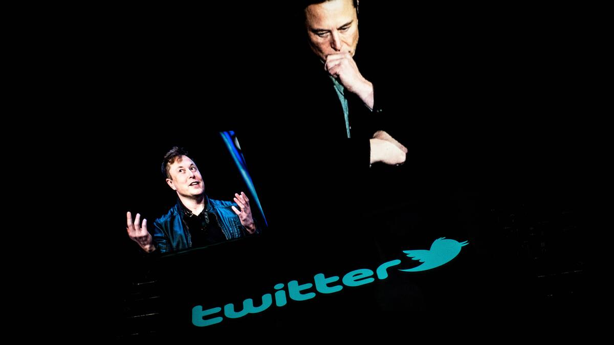 Twitter hat seine gesamte Medienstelle in Deutschland gefeuert