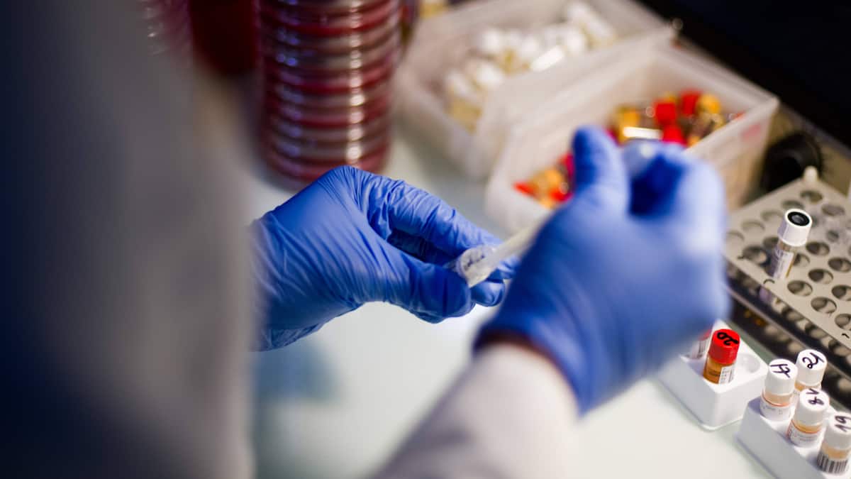 Pfizer könnte im Bieterkampf um Metsera auf die Trump-Karte setzen