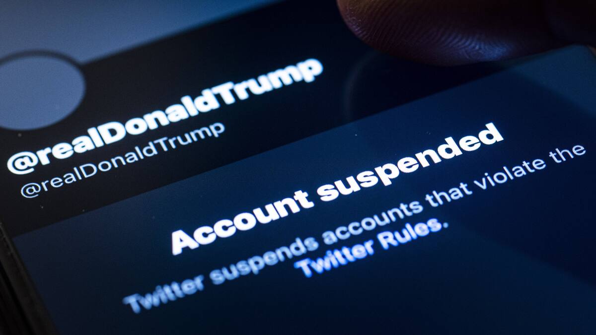 Musk bittet Twitter-Nutzer über die Wiederaufnahme von Trump abzustimmen