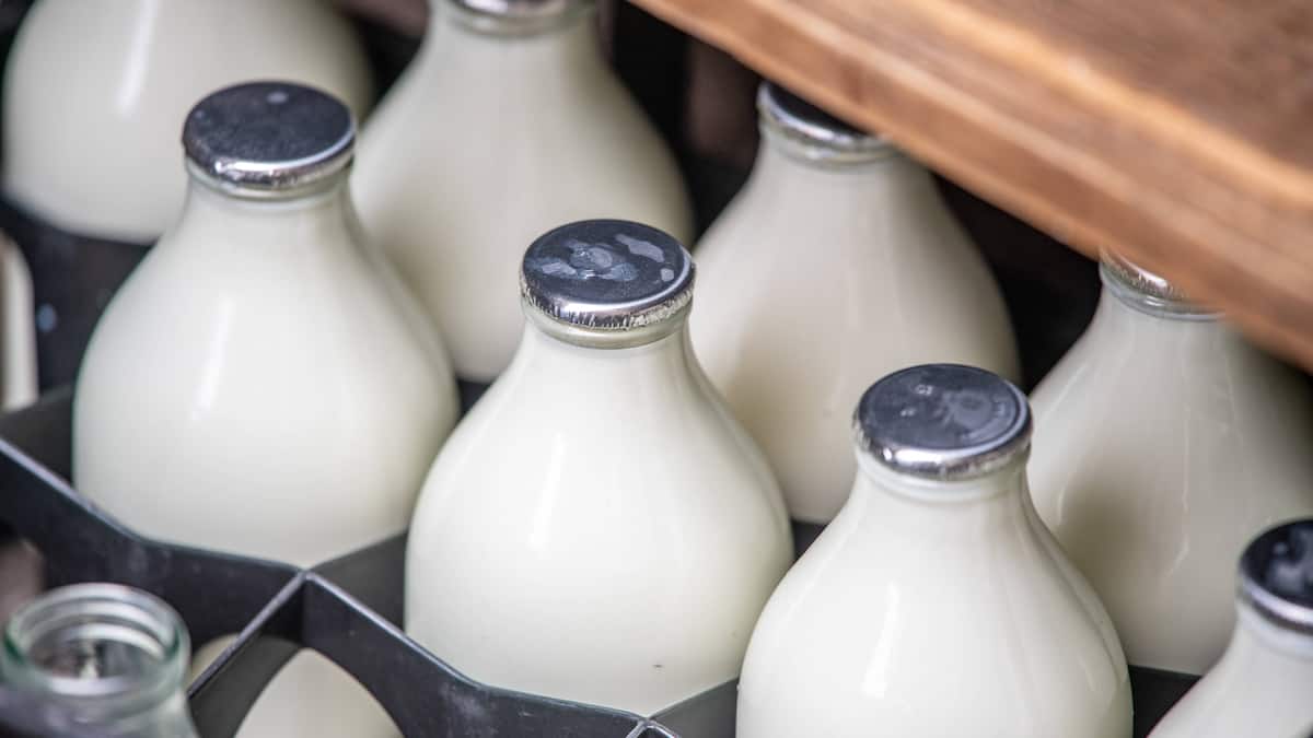 Streit um Autozölle: China prüft EU-Milchprodukte länger