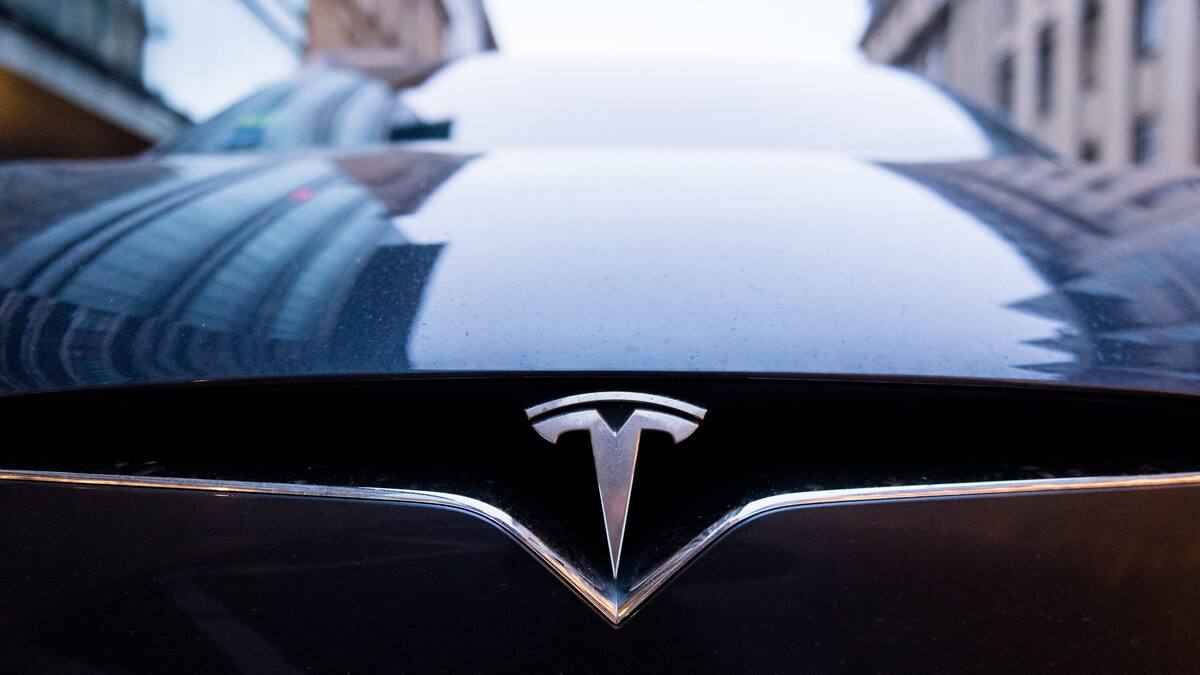 Leerverkäufer von US-Aktien mit erstem Jahresgewinn seit 2018