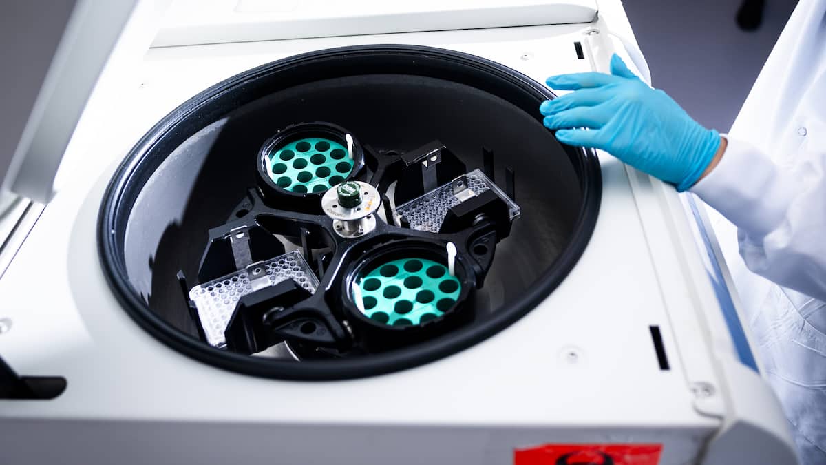 Moderna will 2026 wieder wachsen