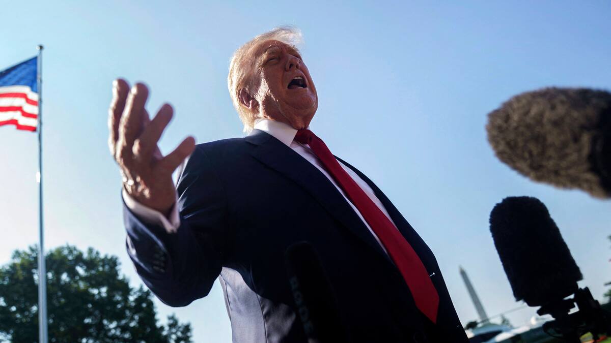 Ökonomen-Stimmen zur Zolleinigung zwischen der EU und den USA