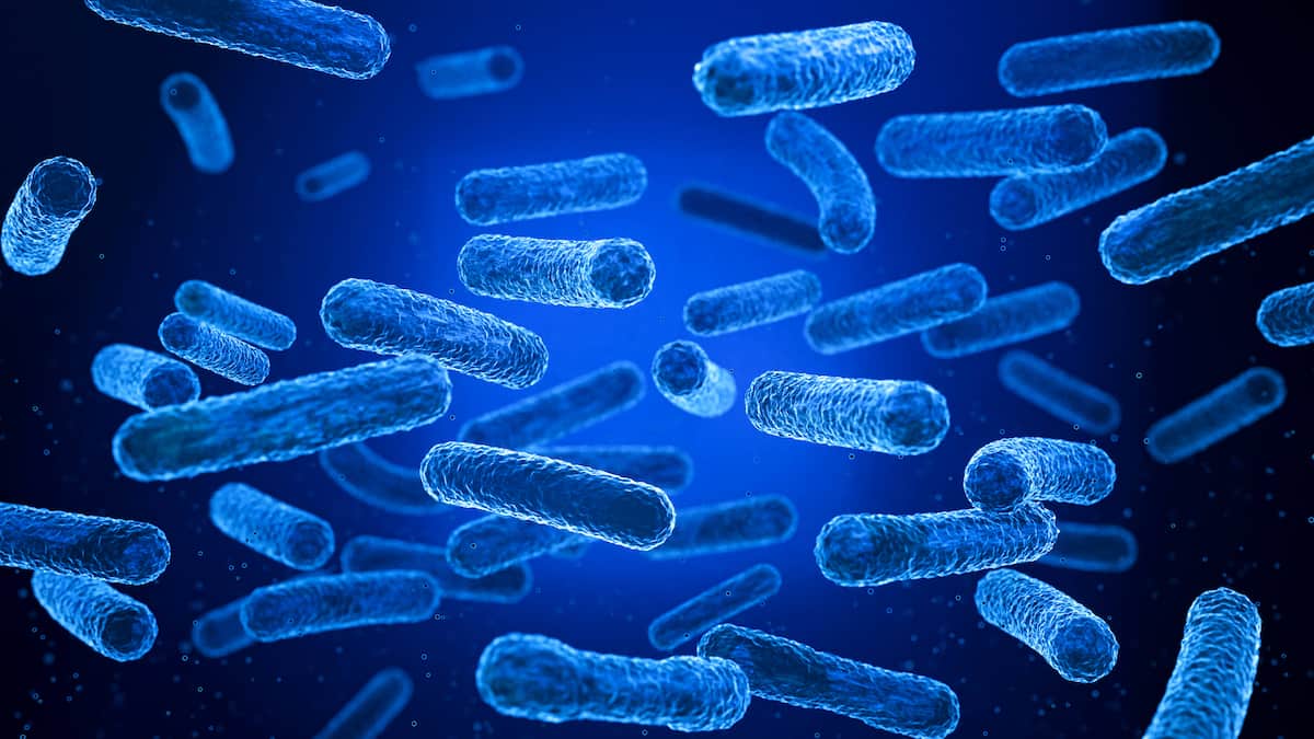 BB Biotech erzielt 2025 einen Gewinn - Auszahlung einer höheren Dividende vorgesehen