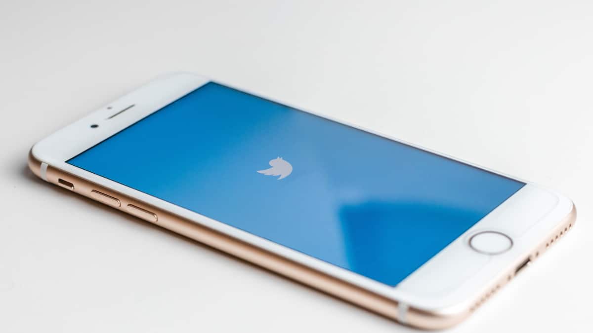 Twitter verschiebt Start von kostenpflichtigen Häkchen wohl bis nach US-Wahlen