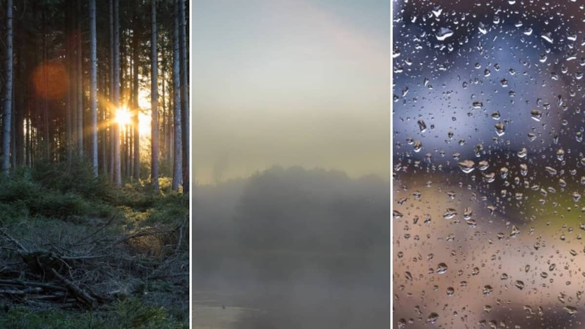 «Der Donner wird noch folgen»: So sehen die grössten Vermögensverwalter das Aktienjahr 2023