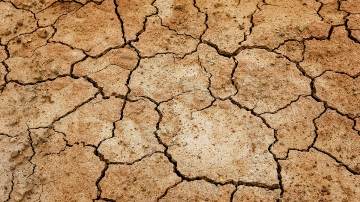 Entwicklungsbank: «Super El Niño» kann Afrika bis zu 20 Milliarden Dollar kosten | cash