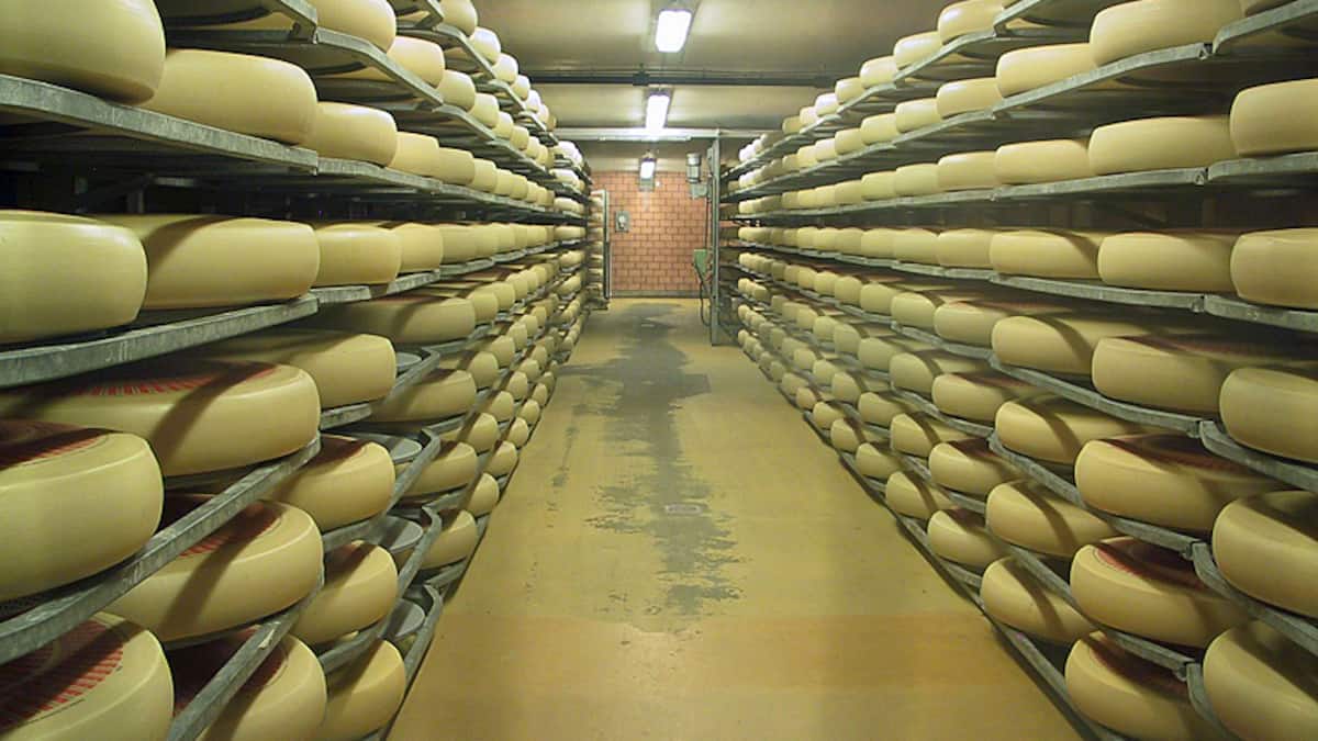 Die Schweizer Käsebranche hat ein Branchentief