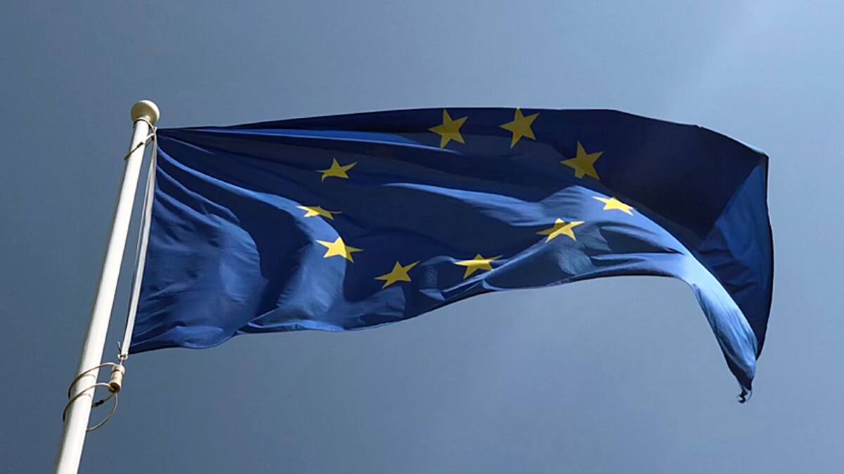 Diese Summe ist seit Jahresanfang aus europäischen Aktien abgeflossen