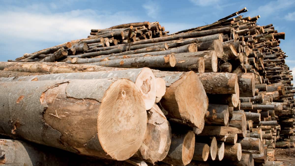 Neue US-Zölle für Holz und Holzmöbel - Obergrenze für EU bei 15 Prozent