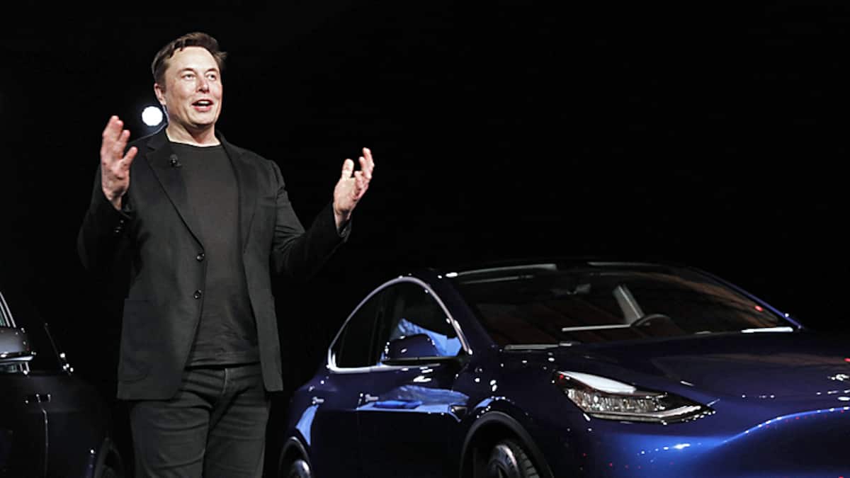 Elon Musk soll gefälligst Tesla führen - Investor hält ihn als Twitter-CEO für «ungeeignet»