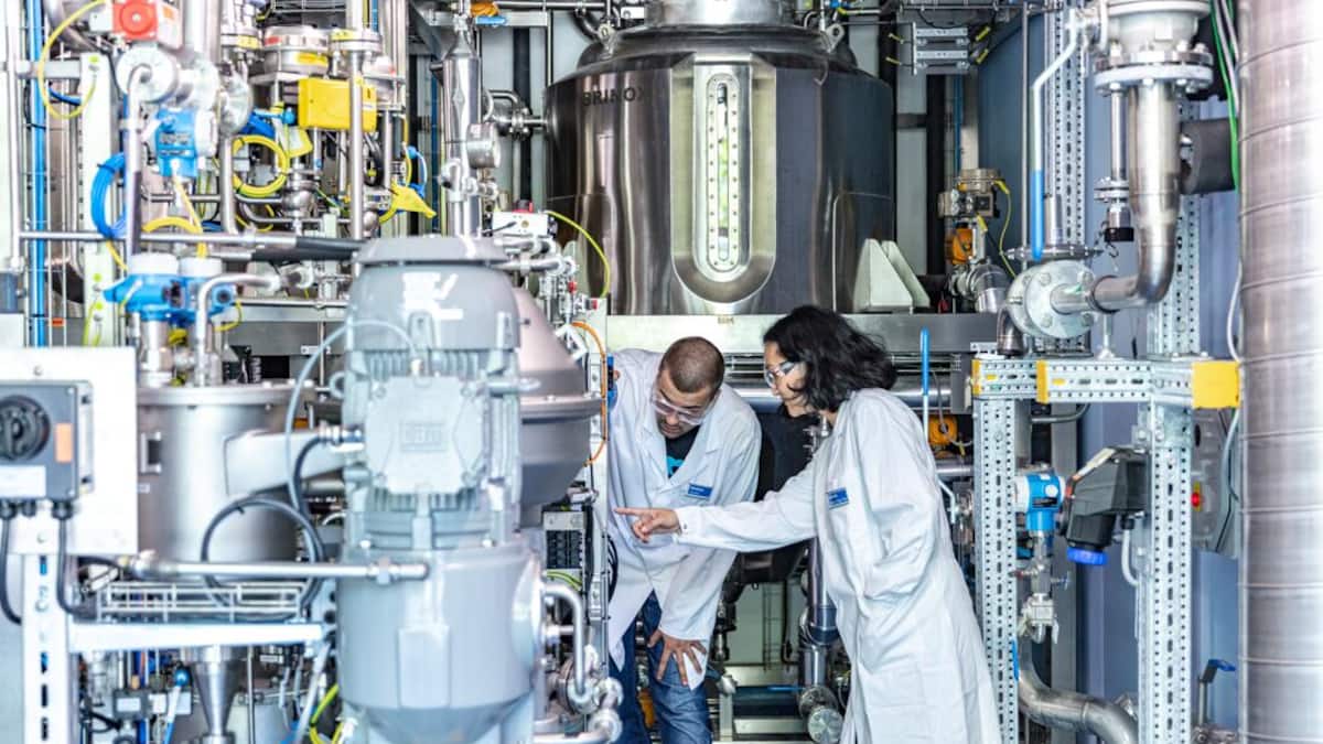 US-Investmentbank favorisiert Novartis und sieht auch Roche wieder als vielversprechenden Kaufkandidaten