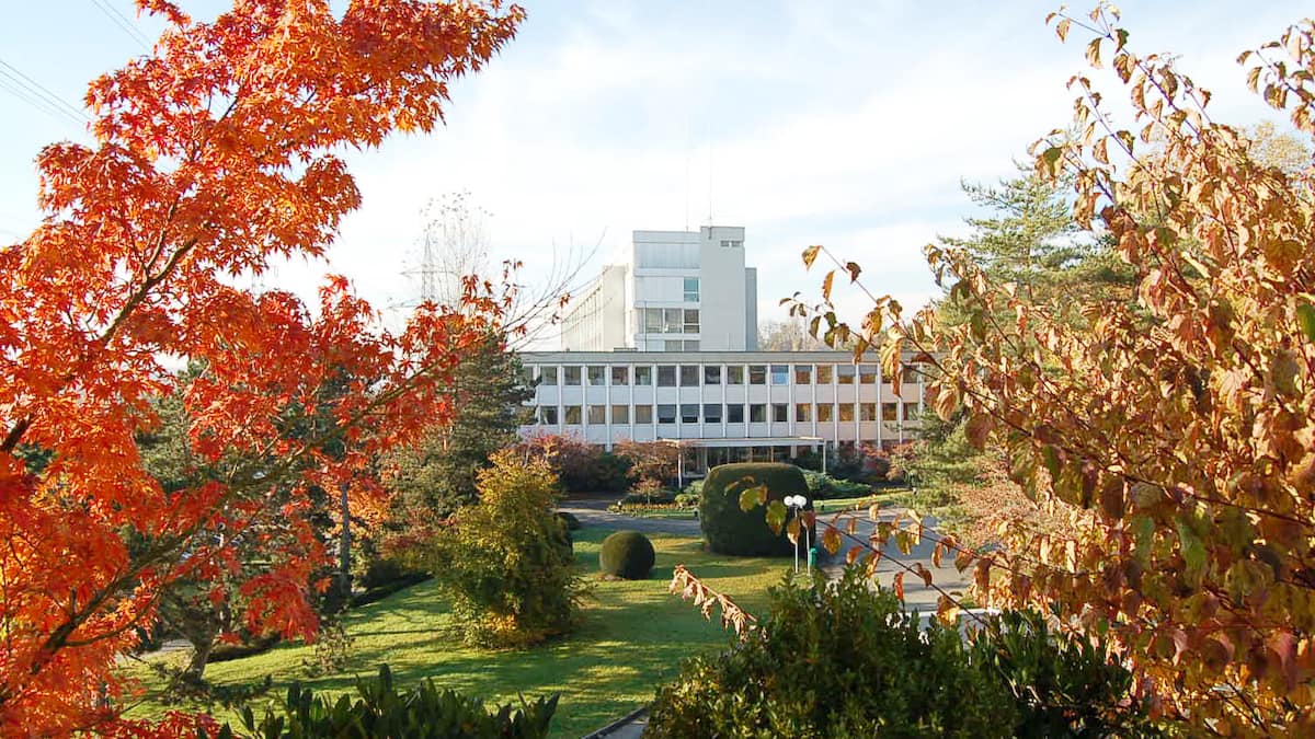 Warum Analysten bei Givaudan eine Verlangsamung des Wachstums erwarten