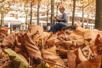 Die 13. AHV-Rente kommt bestimmt - samt Ehe-Deckelung, Kürzungen und Zuschlägen Eine Rentnerin sitzt an einem Herbsttag auf einer Parkbank.