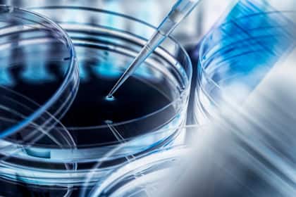 Gehen Pharmaaktien als Gewinner aus dem 2024 hervor? Pipettier-Einheit bei einem Biotechnologie-Unternehmen.