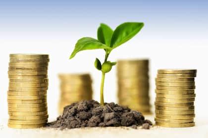 Nachhaltigkeit trifft Rendite: Die stille Revolution der ETFs Grüner Spross und Geldmünzen