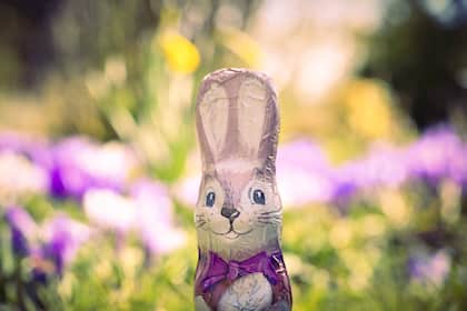 Vorsorge fürs Osternest: Acht internationale Dividendenaktien für unsichere Zeiten Schoko-Osterhase vor Blumenbeet.