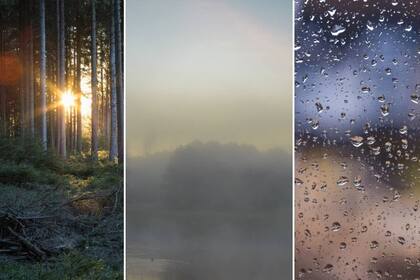 Widersprüchliches zum Börsengeschehen wohin man auch hört Sonne, Nebel oder Regen? Die Aussichten für Aktien sind umstritten.