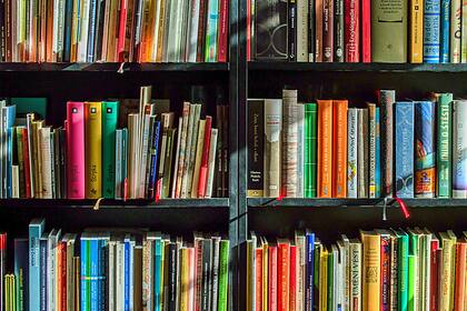 Aktien: Ein Derivat-Verfall für die Geschichtsbücher Viel Lesestoff: Büchergestell in einem Buchladen.