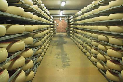 Die Schweizer Käsebranche hat ein Branchentief Käse reift in einem Käsekeller.