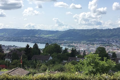 Schweizer Hochhaus-Boom: Die zehn grössten Projekte in Zürich Blick auf Zürich vom Zürichberg.