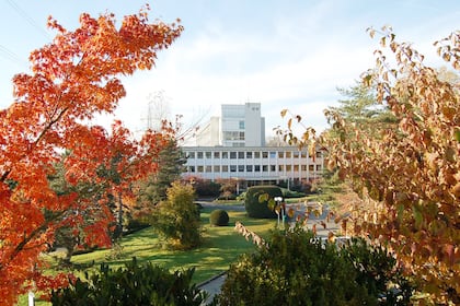 Beste SMI-Aktie: Dieses Unternehmen schnuppert am Wochensieg Der Hauptsitz von Givaudan in Vernier.