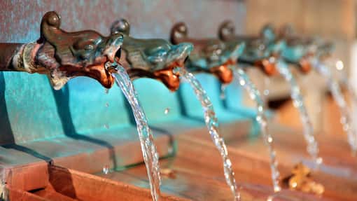 Warum Dividendenzahlungen bei Schweizer Blue Chips wichtiger sind als Aktienrückkäufe Wie die historischen Wasserspeier an diesem Brunnen schütten die Unternehmen grosszügig Dividende aus.