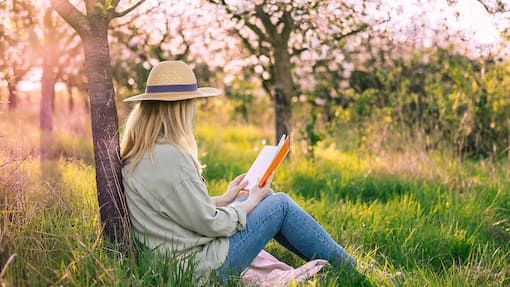 Bücher, die Leserinnen und Leser aktuell begeistern Box by Blick - Bestseller exlibris