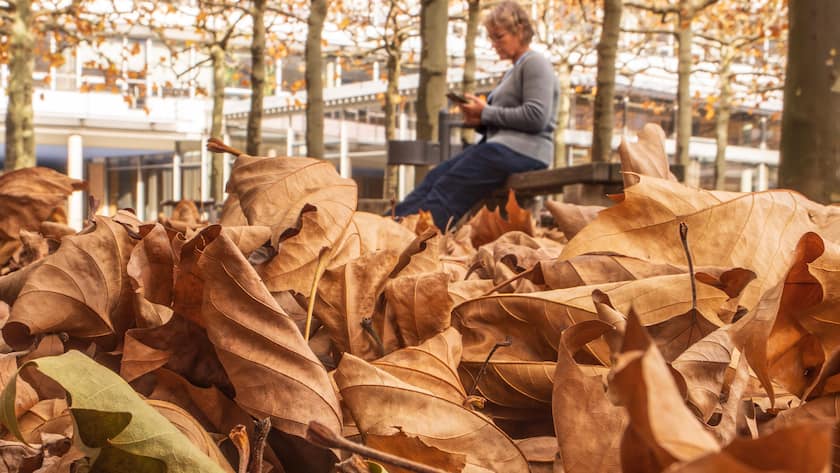 Eine Rentnerin sitzt an einem Herbsttag auf einer Parkbank.