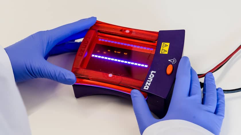 Ein Elekrophorese-Gerät von Lonza in der Labor-Untersuchung des Coronavirus.