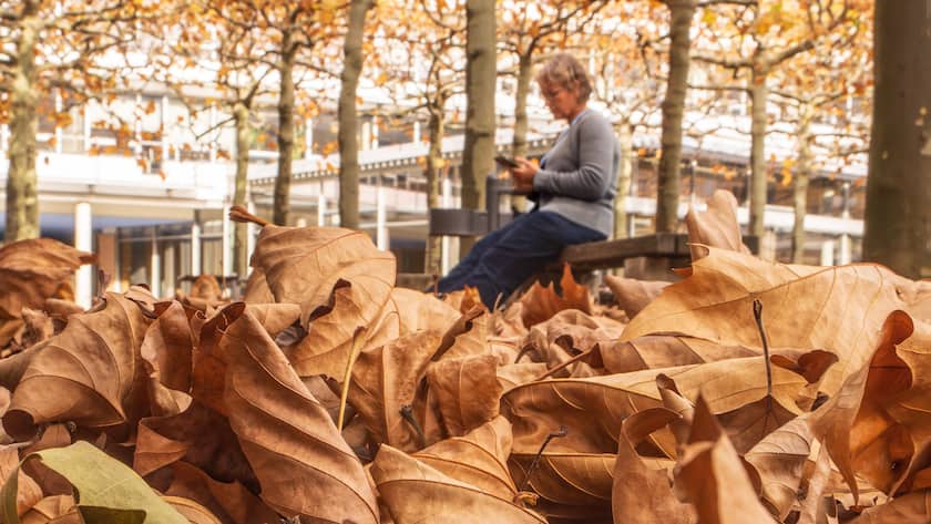 Eine Rentnerin sitzt an einem Herbsttag auf einer Parkbank.