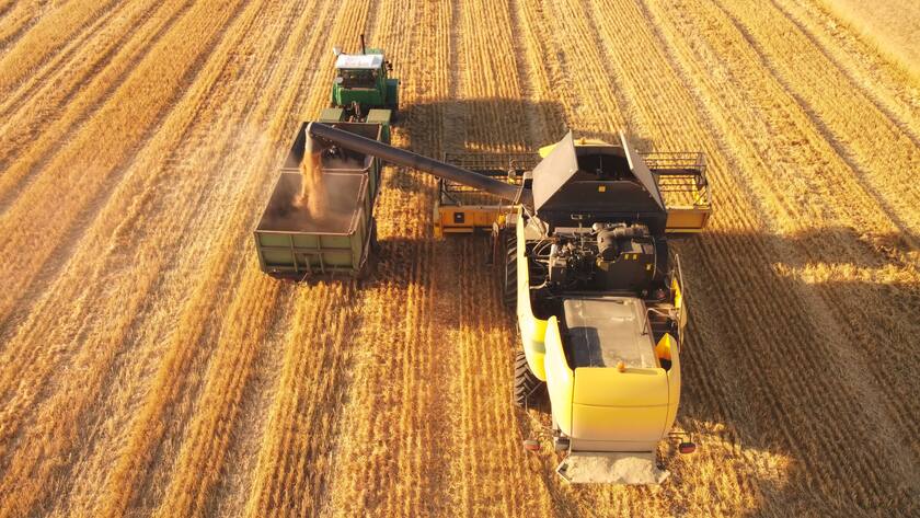 Mähdrescher beladen Weizensamen zum Anhänger. Luftaufnahme der Arbeit der ukrainischen Landwirtschaft.