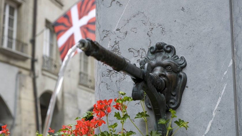 Der Dividendenfluss geht in der Schweiz weiter.