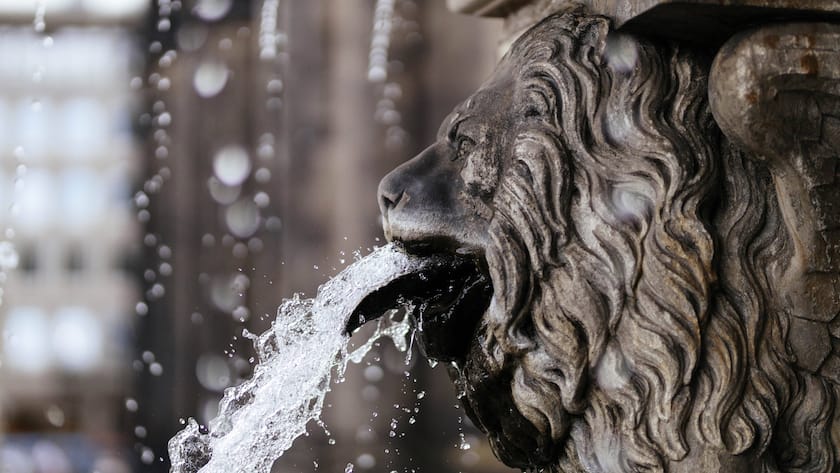 Der Dividendenfluss nimmt nicht ab.