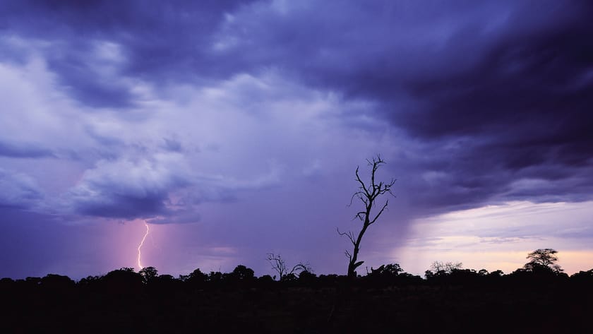 Wenn das Börsenwetter stürmischer wird, sind krisenfeste Werte gefragt.