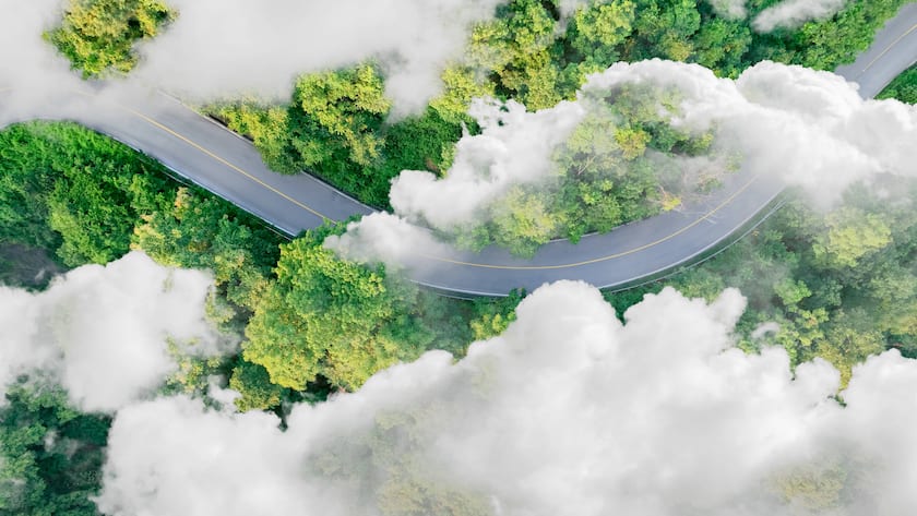 Luftaufnahme von dichten grünen Bäumen im Wald, die CO2 einfangen auf einer kurvenreichen Autobahn.