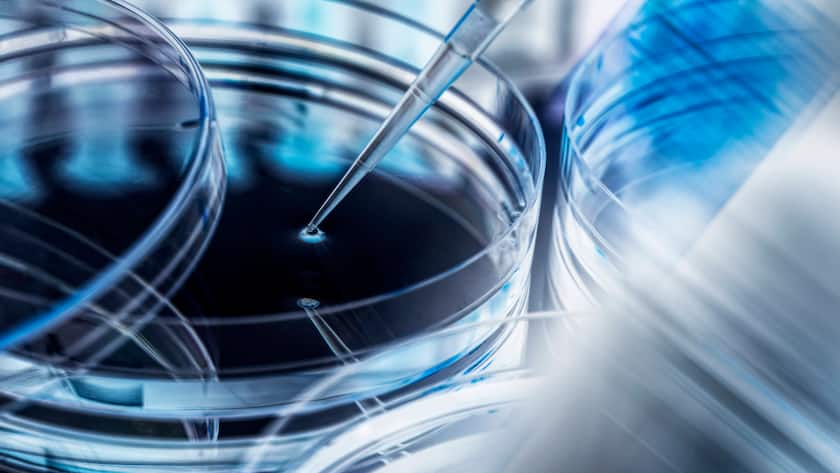 Pipettier-Einheit bei einem Biotechnologie-Unternehmen.