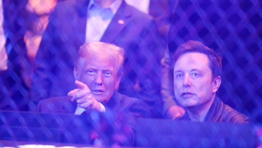 Donald Trump spricht mit Elon Musk während einem Event im November 2024.