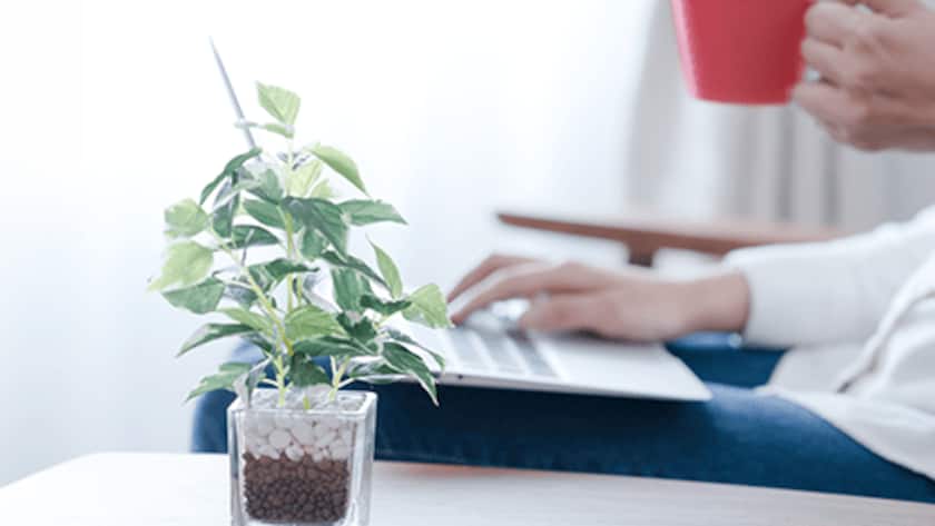 Vermögensverwaltung Vermögensverwaltung