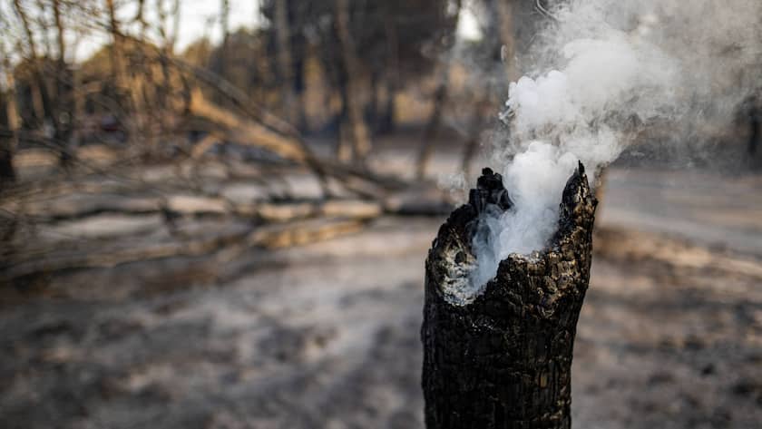 Ein Waldbrand in den Pyrenäen.